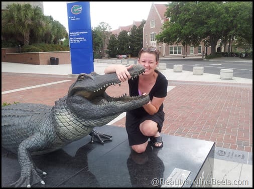 Florida Gators The Swamp