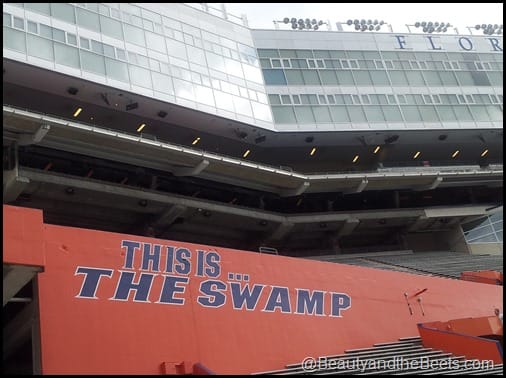 Florida Gators The Swamp