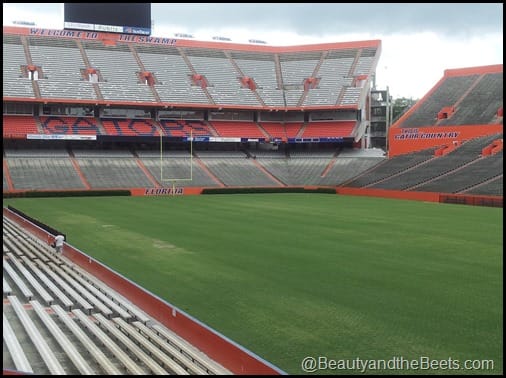 Florida Gators The Swamp