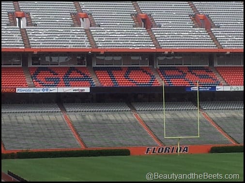 Florida Gators The Swamp