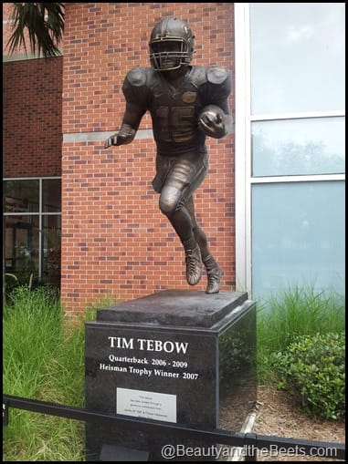 Tim Tebow Florida Gators The Swamp