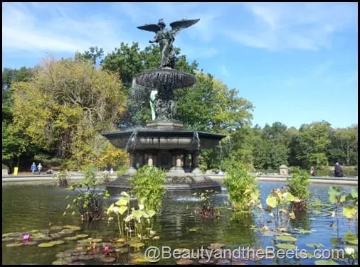 Bethesda Fountain Central Park