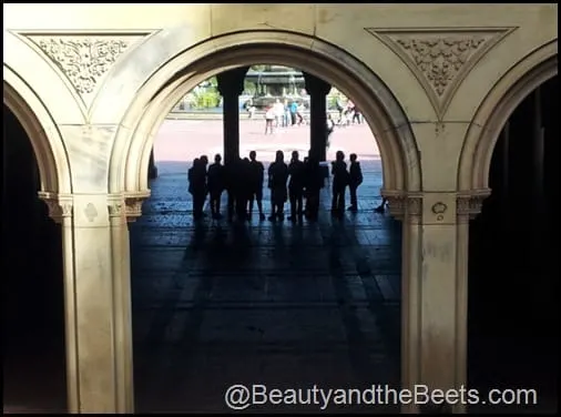 Bethesda Fountain Opera Crowd