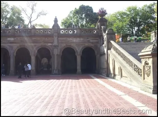 Bethesda Terrace