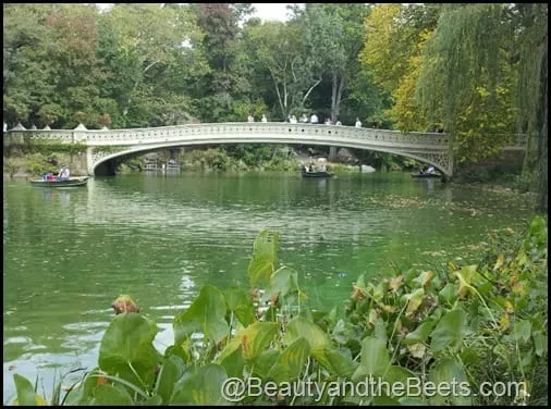 Bow Bridge- Central Park