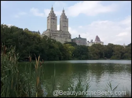 Central Park (2)
