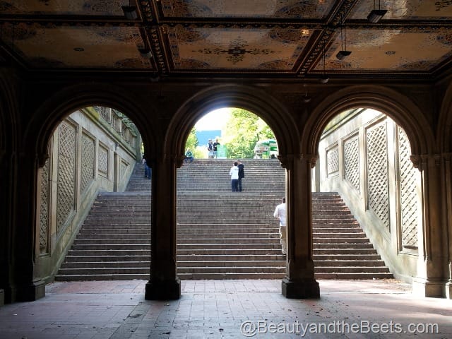 Ny, Nyc, Central Park, Bethesda Terrace, Bethesda Fountain #3