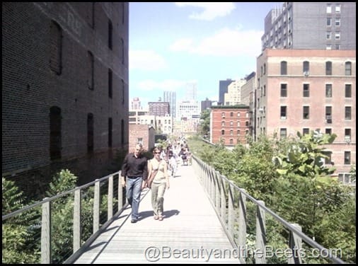 High Line Chelsea NYC