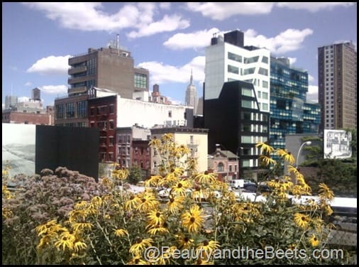 High Line New York City