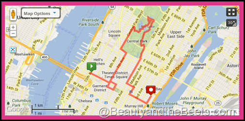 NYC Walking Tour #3- 7 miles