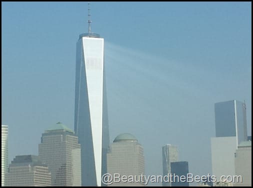 Rays of Light One World Trade Center