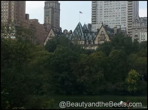 The Dakota Central Park NYC