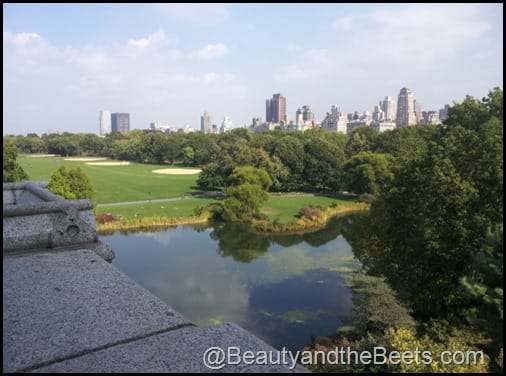 The view from Belvedere Castle Central Park