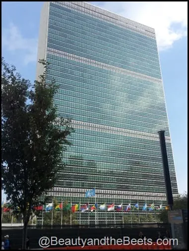 United Nations Building