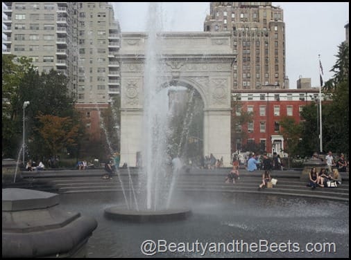 Washington Square NYC