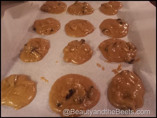 Vegan Chocolate Chip Cookies