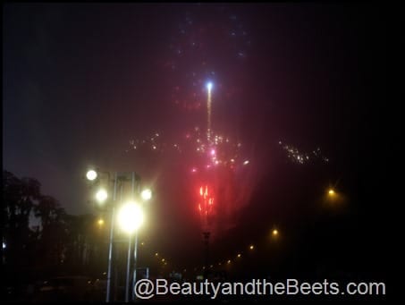Dinsey Princess Marathon fireworks