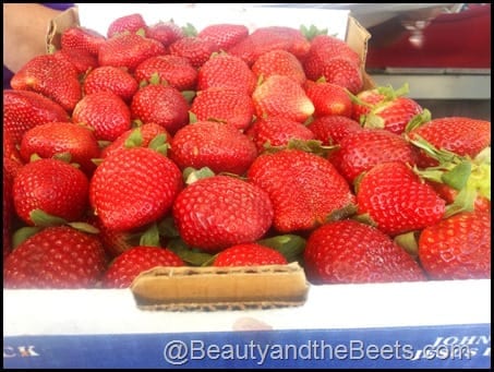 Florida Strawberry Festival Berries