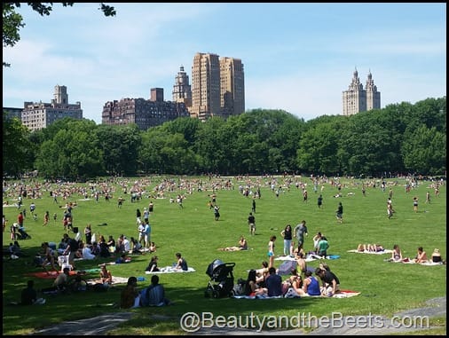 Central Park Beauty and the Beets