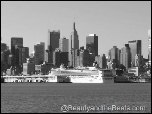 New York Crusie Ship Hudson River Beauty and the Beets