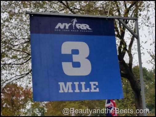 NYRR Dash to the Finish Line 3 mile