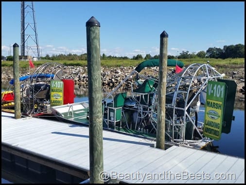 Orlando Airboat Tours Beauty and the Beets (3)