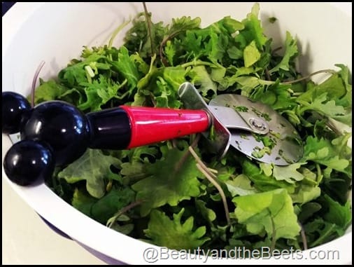 Pizza Cutter to shred greens Beauty and the Beets