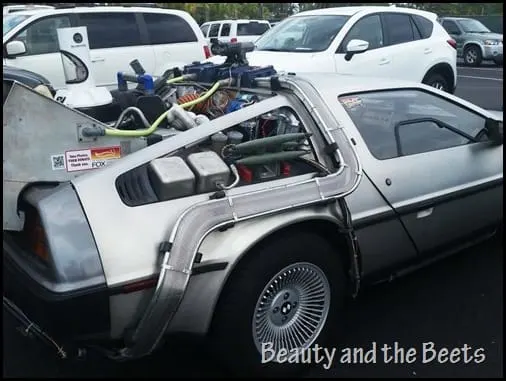 Back to the Future car