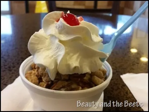 Ice Cream at Twistee Treat Orlando Beauty and the Beets