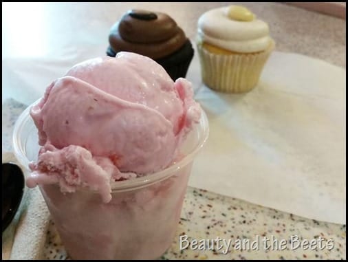 Strawberry Ice Cream Tampa Lowry Park Zoo Beauty and the Beets