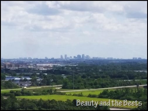 Taking flight on The Orlando Eye Beauty and the Beets (1)