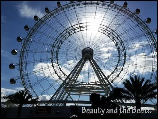 The Orlando Eye Beauty and the Beets