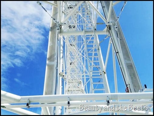 The Orlando Eye wheel Beauty and the Beets (1)