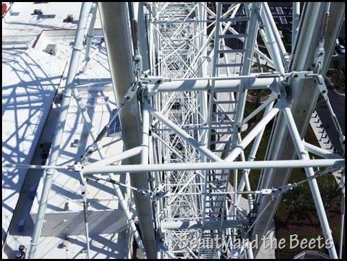 The Orlando Eye wheel Beauty and the Beets (8)