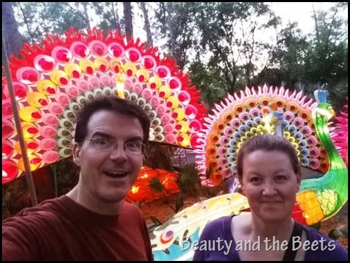 Tampa Lowry Park Zoo Beauty and the Beets