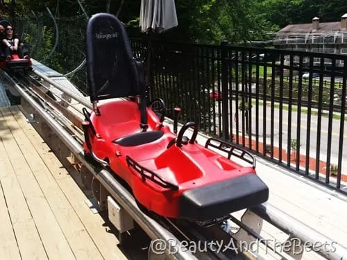 Gatlinburg Mountain Coaster car Beauty and the Beets