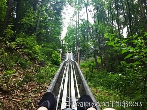 Gatlinburg Mountain Coaster go Beauty and the Beets