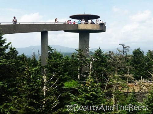 Observation Tower Clingmans Dome Beauty and the Beets