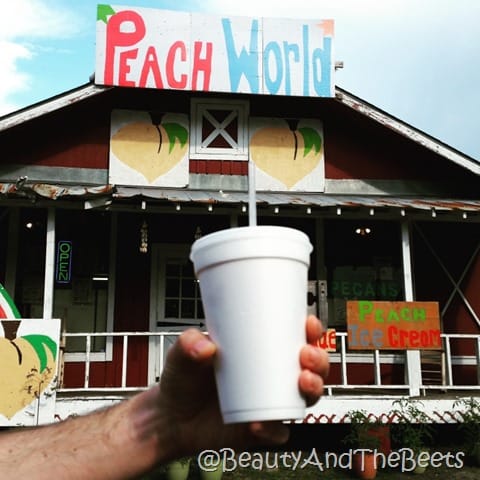 Peach World Peach Slushie Beauty and the Beets