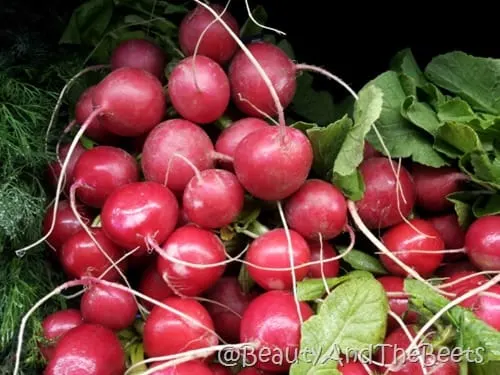 Radish