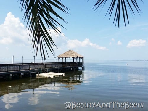 Tampa Bay Eats Hogans Beach Beauty and the Beets