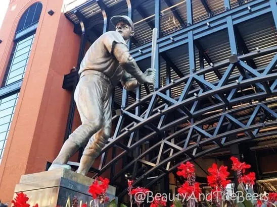 Stan Musial Busch Stadium Beauty and the Beets