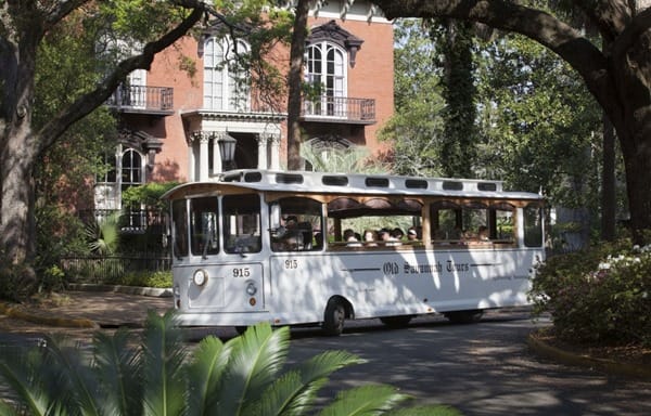 Old Savannah Tours Beauty and the Beets