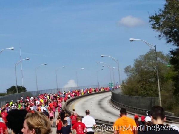 Fuller Warren Bridge approach Gate River Run 2016 Beauty and the Beets