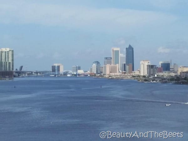 Jacksonville Gate River Run 2016 Beauty and the Beets