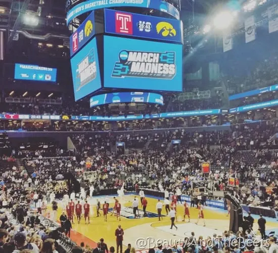 Temple University March Madness Beauty and the Beets