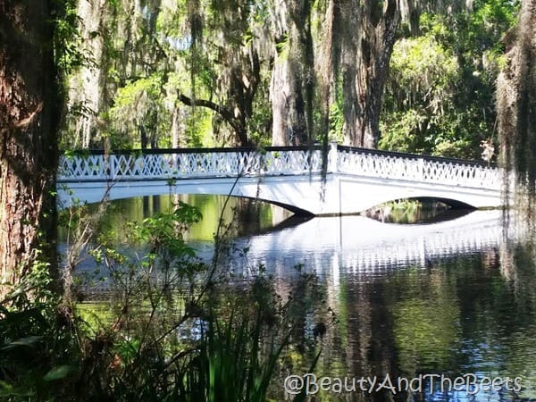 Bridge Magnolia Plantation