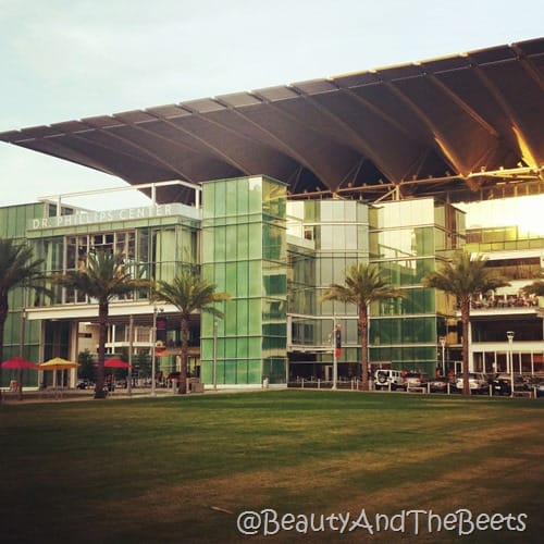 Dr Phillips Center for the Performing Arts Orlando Beauty and the Beets