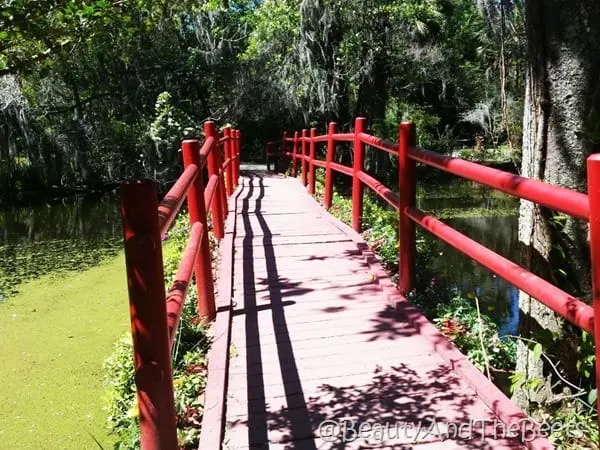 Japanese bridge Magnolia Plantation Beauty and the Beets