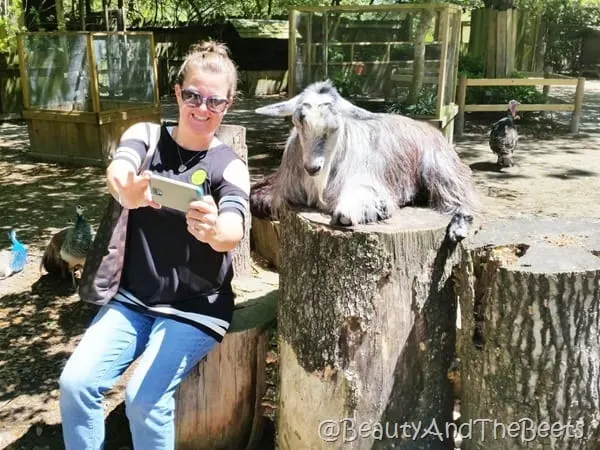 Lilly and I Magnolia Plantation Beauty and the Beets